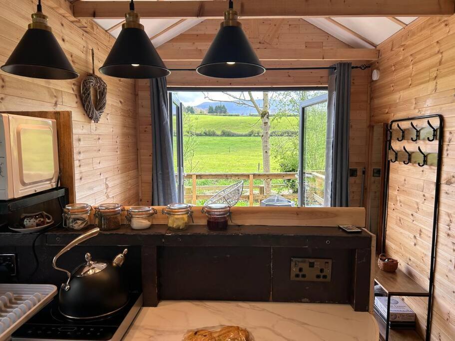 Riverside Cabin Лімерик Екстер'єр фото