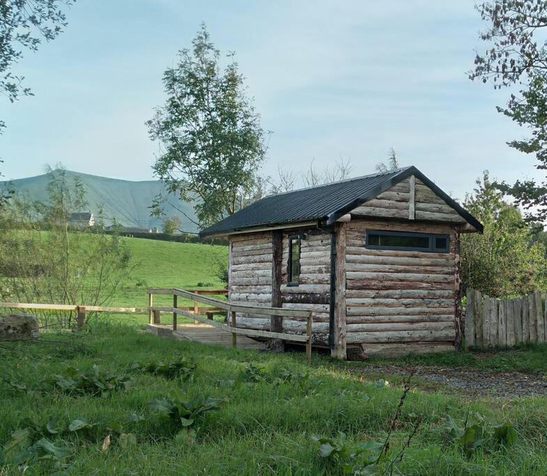 Riverside Cabin Лімерик Екстер'єр фото